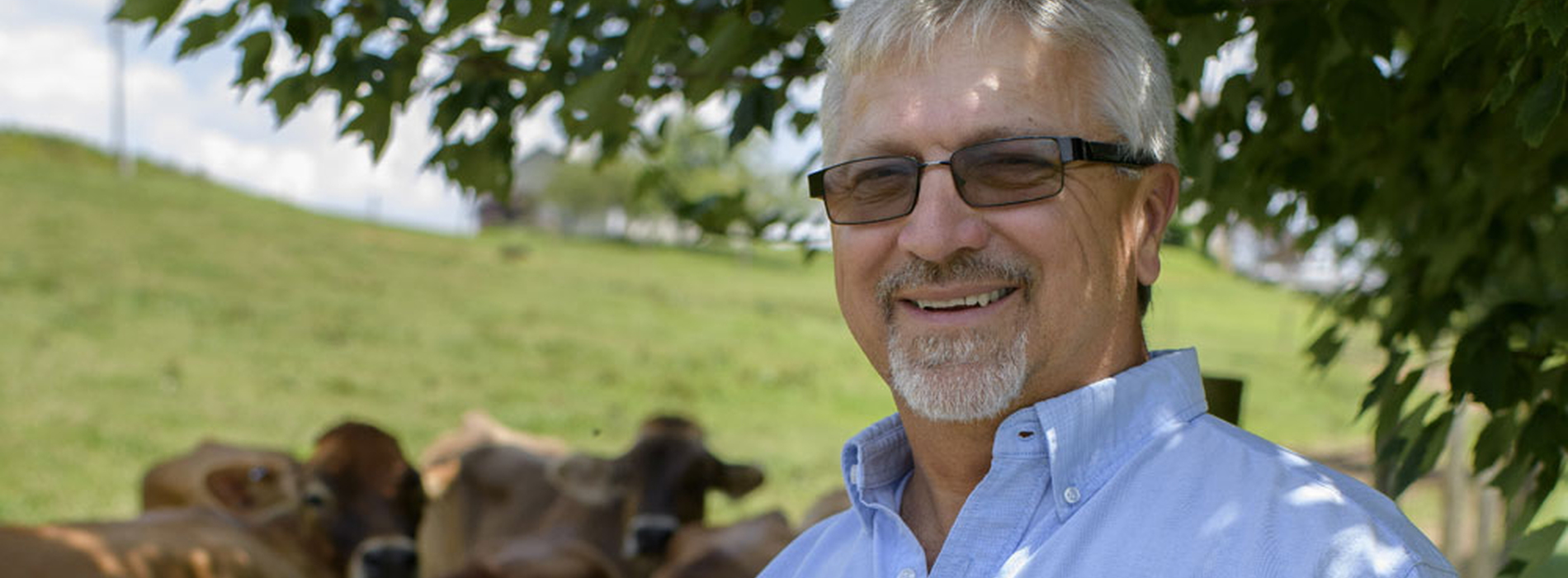 A man wearing a light blue shirt with “US Jersey” above the chest pocket stands smiling in front of several cows.